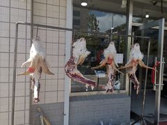 -何记羊汤馆(丽水佳源店)