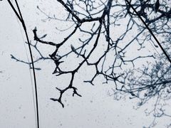 -西安市广仁寺