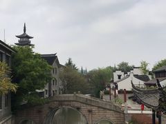 -嘉定紫藤园