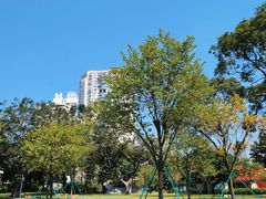 -洲头咀公园