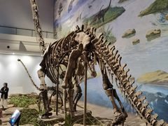 -自贡恐龙博物馆