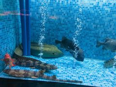 -抱德·潮汕味(琶洲店原惠城鱼仔)