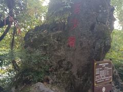 -花溪公园