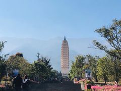 -三塔倒影公园
