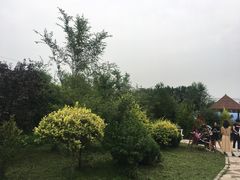 -香木香羊西夏特色烤全羊(沈阳世博园店)