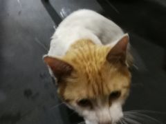 -大汗烧烤滩羊馆(清水河公园店)