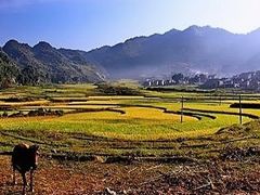 -长寿村