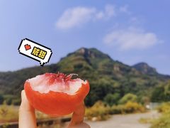-老象峰