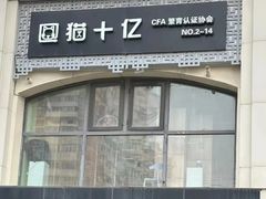 -猫十亿·布偶金渐层·曼基康矮脚猫舍(青年路店)