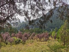 -四门塔风景区