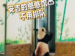 -安吉竹博园