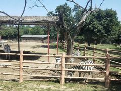 -西安秦岭野生动物园