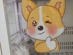 -瑞派康怡24h宠物医院·犬猫医疗中心·微创绝育(瑞景分院)