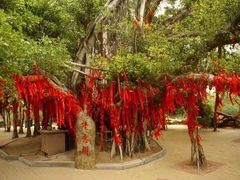 -大嶝英雄三岛战地观光园