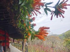 -桃花涧