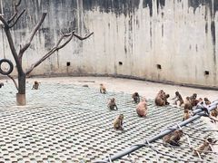 -西安秦岭野生动物园