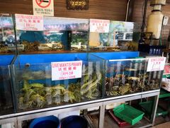 -真浪花园海鲜餐馆