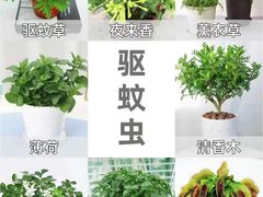 -京东家装(昆明总店)