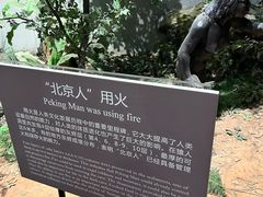 -北京周口店北京人遗址博物馆