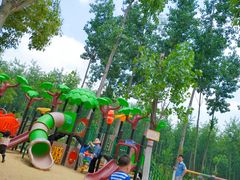 -合肥滨湖国家森林公园