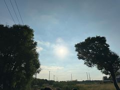 -七的湖·晚芳亭·阳澄湖农家菜·大闸蟹(莲花岛店)