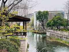 -湘湖金融镇