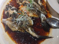 清蒸石头鱼-七仙岭君澜度假酒店·桃源小馆中餐厅