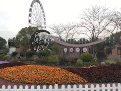 -顾村公园