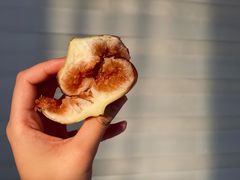 -银峰农庄·特色烧鸡·鲜无花果浸鸡