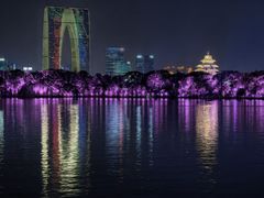 -金鸡湖景区