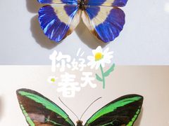 -上海昆虫博物馆