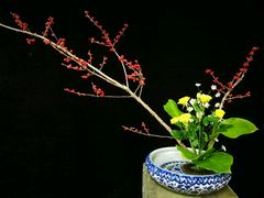 -荷兰布尔玛国际花艺学院