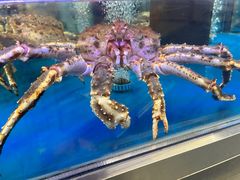 -盒马X会员店(上海森兰商都店)