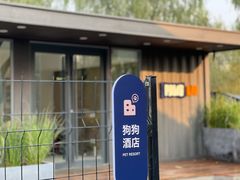 -爪吧宠物乐园·宠物泳池(温榆河示范区店)