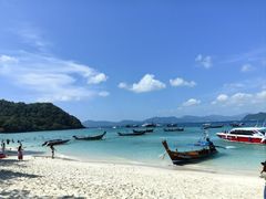 -珊瑚岛