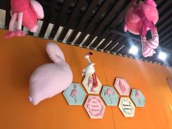 点击看大图 -光SPA科技美肤