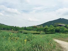 -有田陶瓷公园
