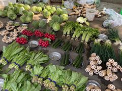 -北京清河镇农副产品交易市场中心