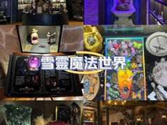 -雪灵魔法世界SHELLY’S TAROT(大良桂畔里店)