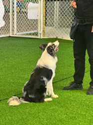 -酷嗒动物文化乐园(cutezoo西溪乐天城店)