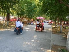 -长白岛森林公园