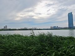 -高子水居
