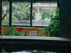 -张家港金凤凰度假村温泉