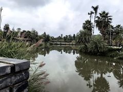 -枫香湖儿童公园