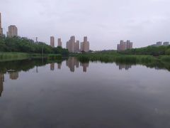 -前关湿地公园