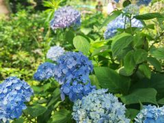 -苏州河梦清园环保主题公园