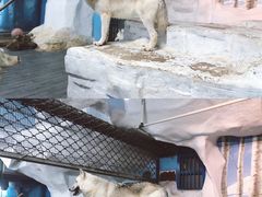 -南京海底世界