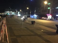 -沈家门渔港