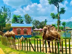 -云漫湖生态度假公园