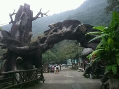 -龙湾潭国家森林公园